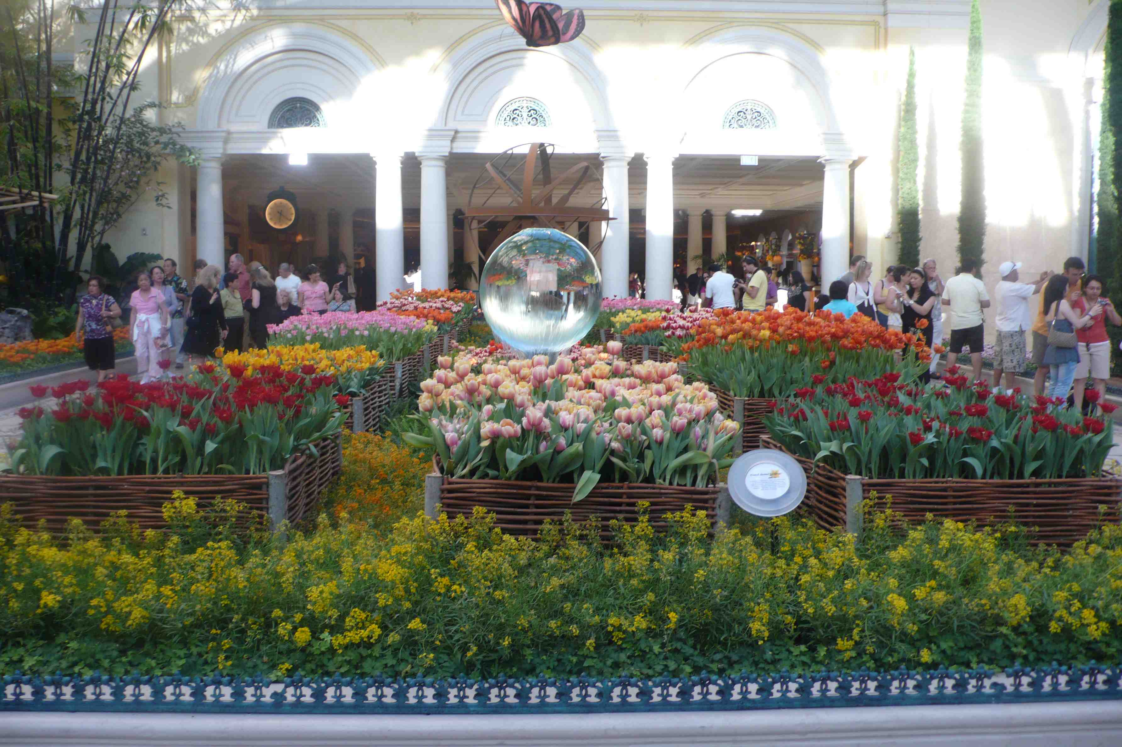Tulip display at Bellagio