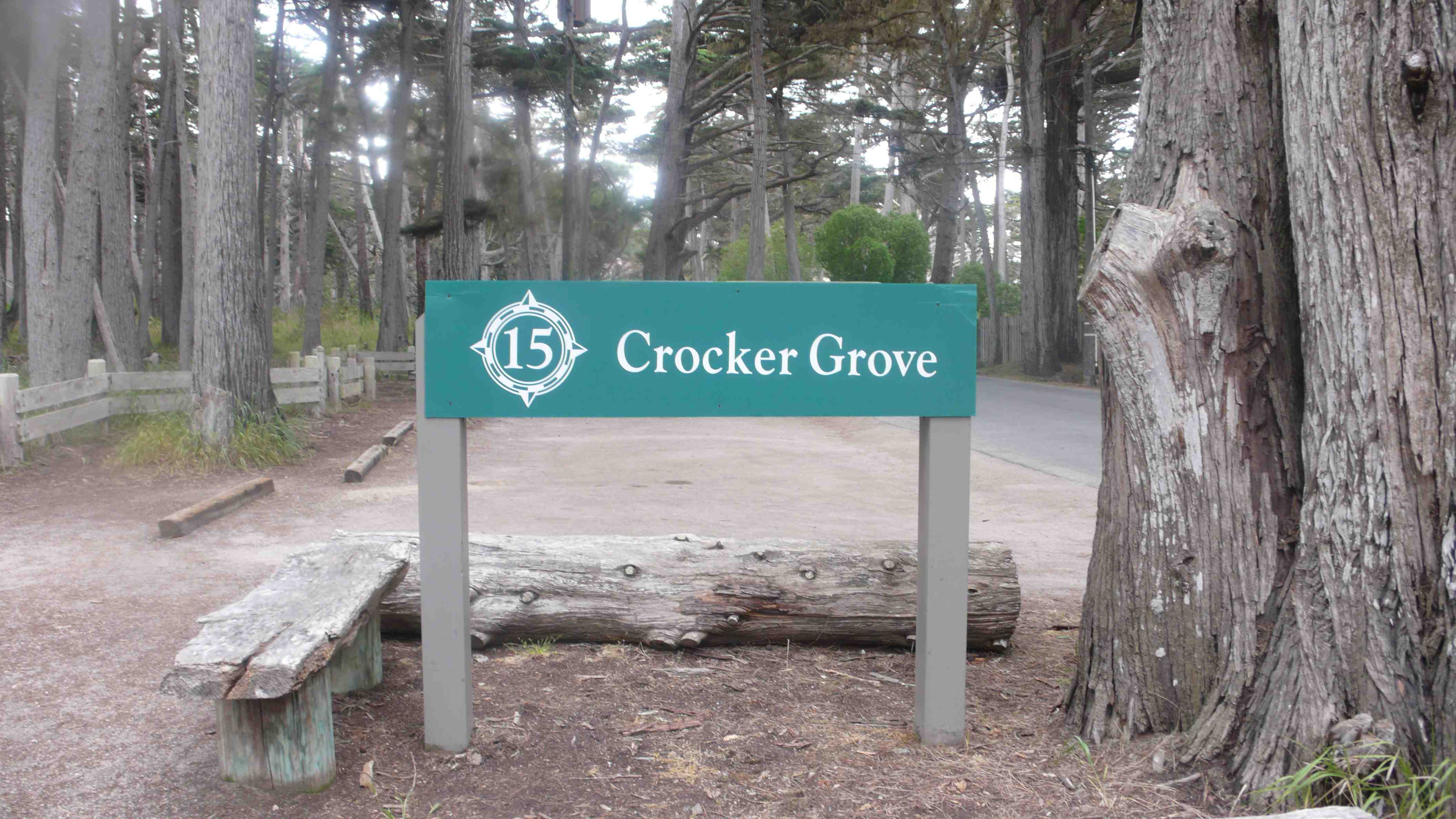 Crocker Grove