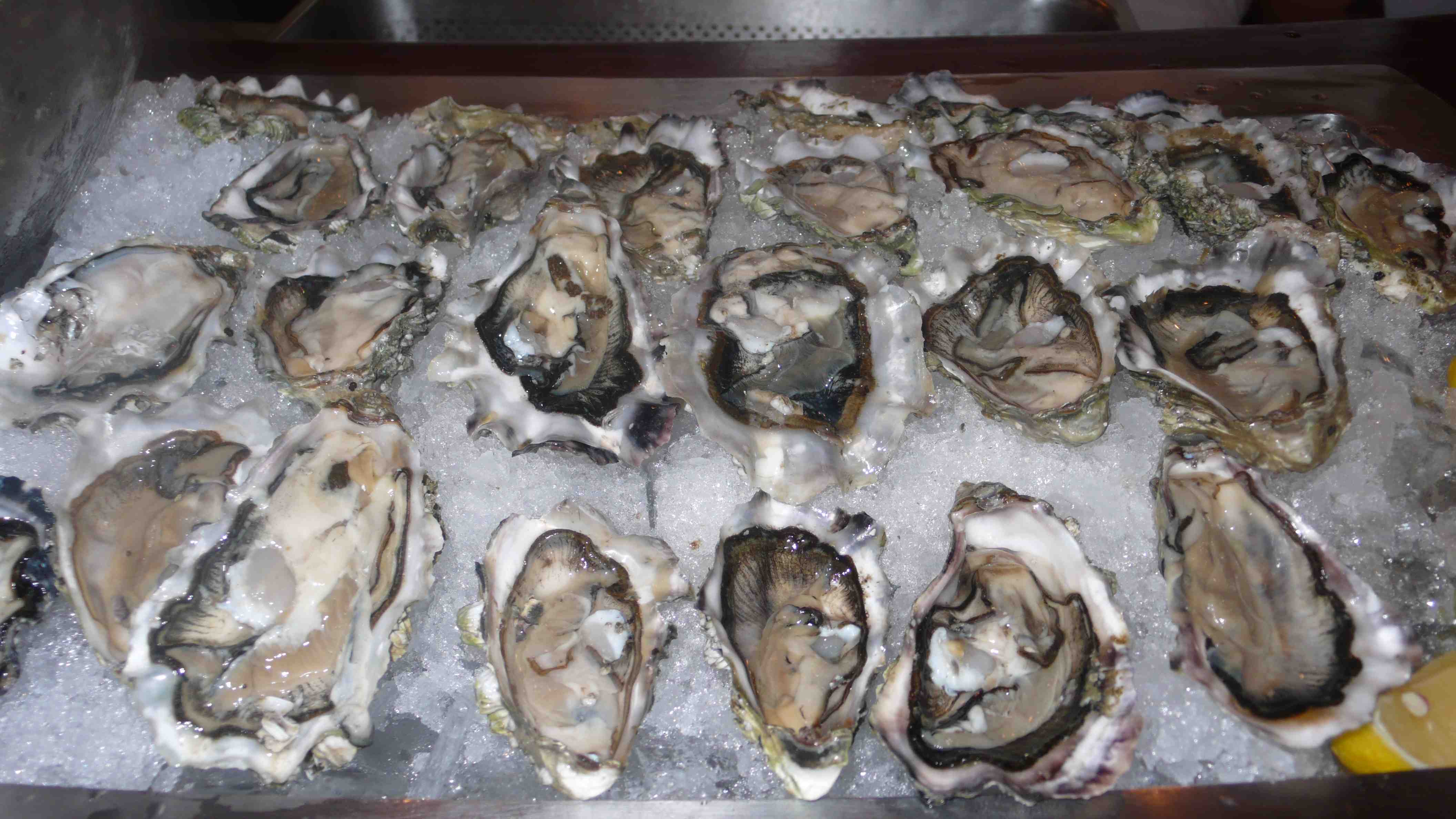 Oysters galore, yum.