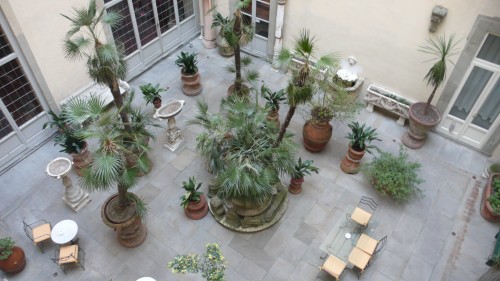 view from terrace