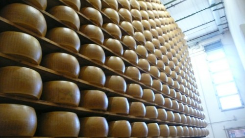 Look at all that cheese!