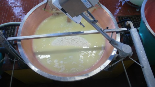 Cheese coming together in copper cauldron