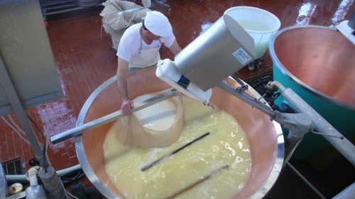 Making cheese