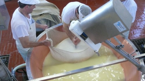 cutting the cheese into two sections