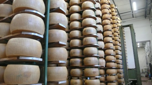Aging cheese