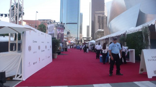 the red carpet